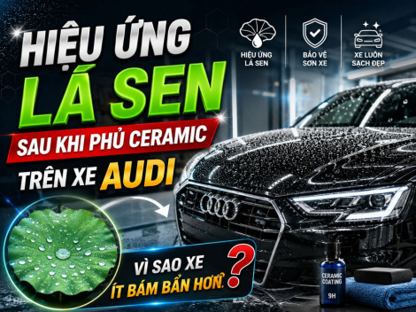 audi-hieu-ung-la-sen-ceramic