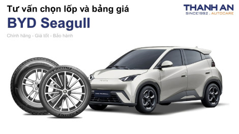 byd-seagull-nen-thay-lop-gi-chi-phi-bao-nhieu