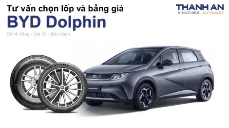 byd-dolphin-nen-thay-lop-gi-chi-phi-bao-nhieu