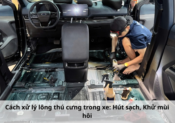 Cách xử lý lông thú cưng trong xe: Hút sạch, Khử mùi hôi