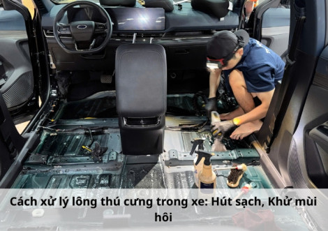 Cách xử lý lông thú cưng trong xe: Hút sạch, Khử mùi hôi