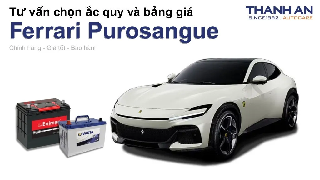 Bình ắc quy xe Ferrari Purosangue loại nào tốt? Bảng giá mới nhất