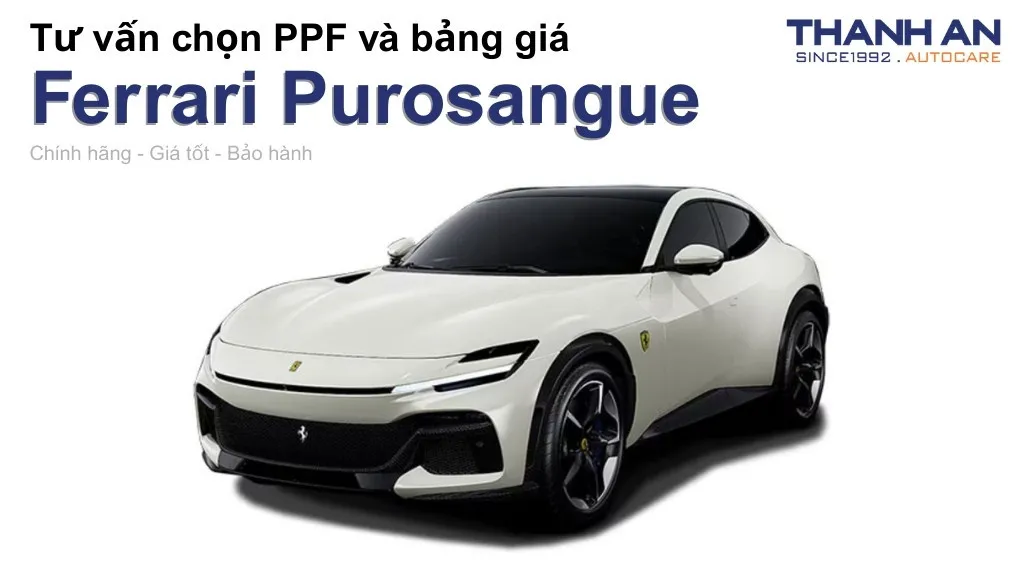 Dán PPF xe Ferrari Purosangue loại nào tốt? Bảng giá mới nhất