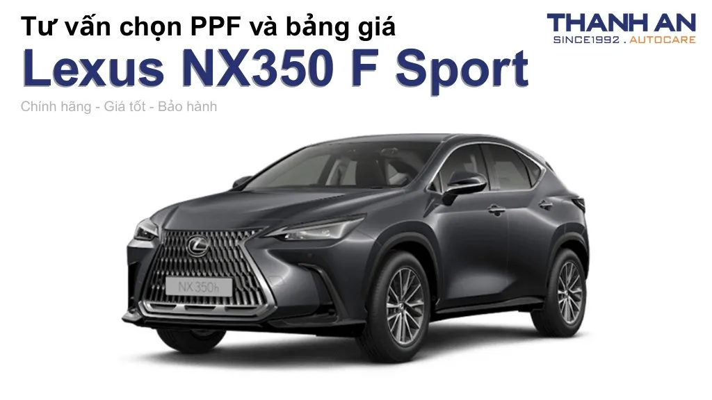 Dán PPF xe Lexus NX350 F Sport loại nào tốt? Bảng giá mới nhất