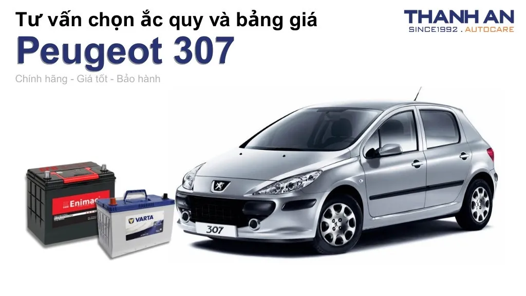 Bình ắc quy xe Peugeot 307 loại nào tốt? Bảng giá mới nhất