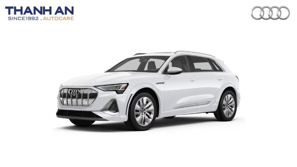 thay-lop-xe-Audi-e-tron-S-chinh-hang-gia-tot-tai-thanh-an-autocare-quan-7