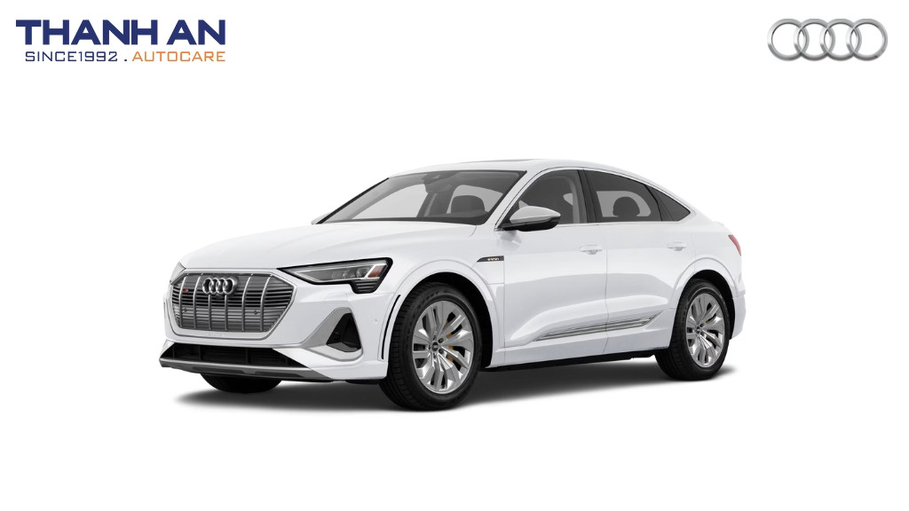 thay-lop-xe-Audi-e-tron-S-Sportback-chinh-hang-gia-tot-tai-thanh-an-autocare-quan-7