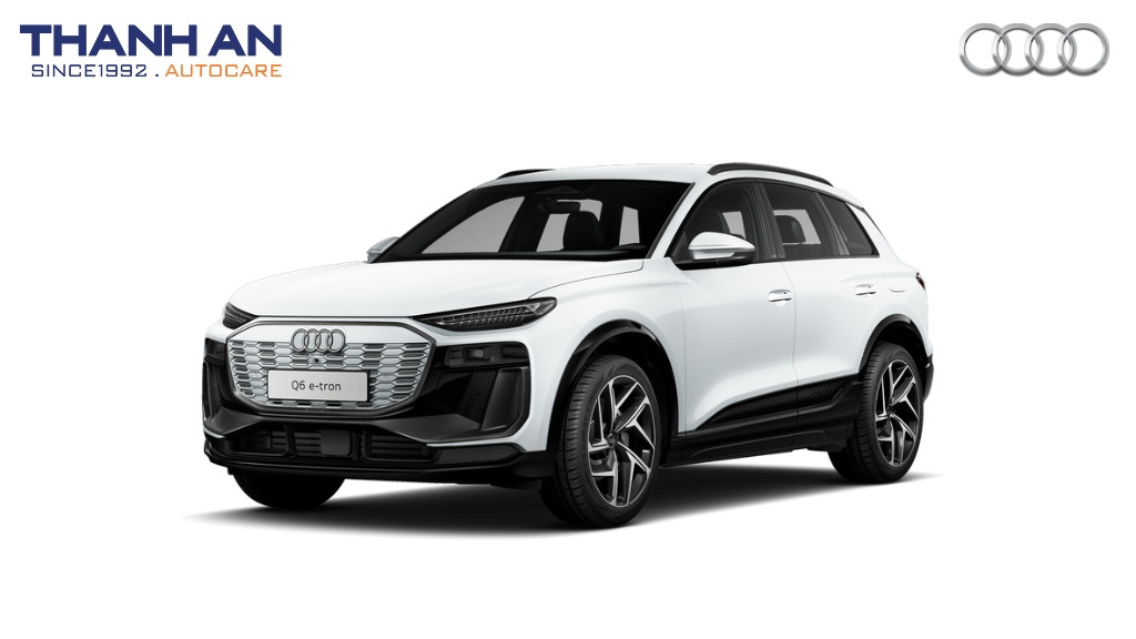 thay-lop-xe-Audi-Q6-e-tron-chinh-hang-gia-tot-tai-thanh-an-autocare-quan-7