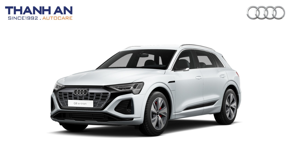 thay-lop-xe-Audi-Q8-e-tron-chinh-hang-gia-tot-tai-thanh-an-autocare-quan-7
