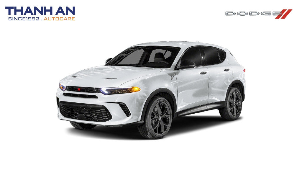 thay-lop-xe-Dodge-Hornet-tai-quan-7-tphcm