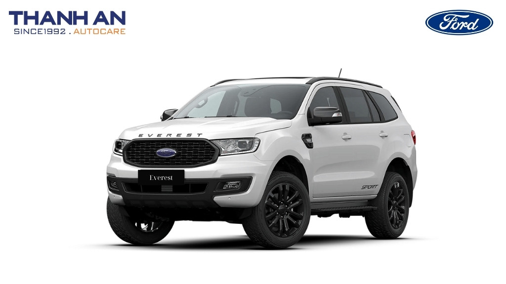 thay-lop-xe-Ford-Everest-2.2-chinh-hang-gia-tot-tai-thanh-an-autocare-quan-7