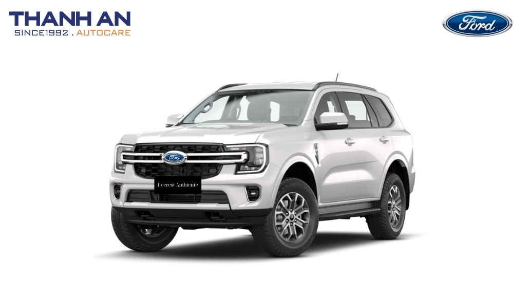 thay-lop-xe-Ford-Everest-Ambiente-chinh-hang-gia-tot-tai-thanh-an-autocare-quan-7