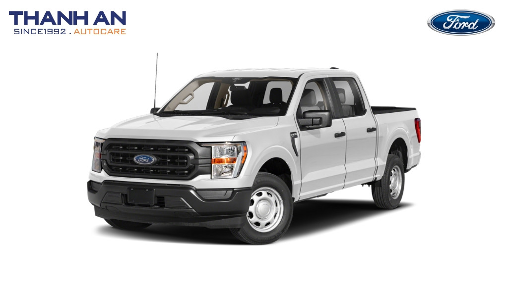 thay-lop-xe-Ford-F-150-chinh-hang-gia-tot-tai-thanh-an-autocare-quan-7