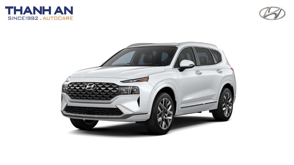 thay-lop-xe-Hyundai-Santafe-2.2-chinh-hang-gia-tot-tai-thanh-an-autocare-quan-7