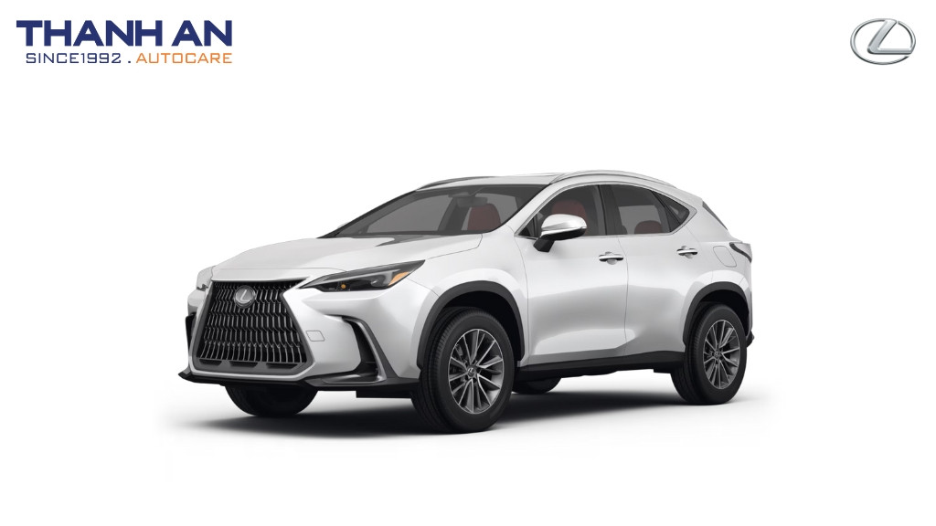 thay-lop-xe-Lexus-NX-350-chinh-hang-gia-tot-tai-thanh-an-autocare-quan-7