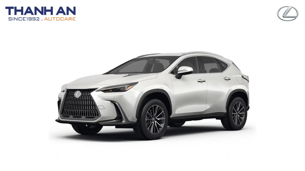 thay-lop-xe-Lexus-NX-350h-chinh-hang-gia-tot-tai-thanh-an-autocare-quan-7