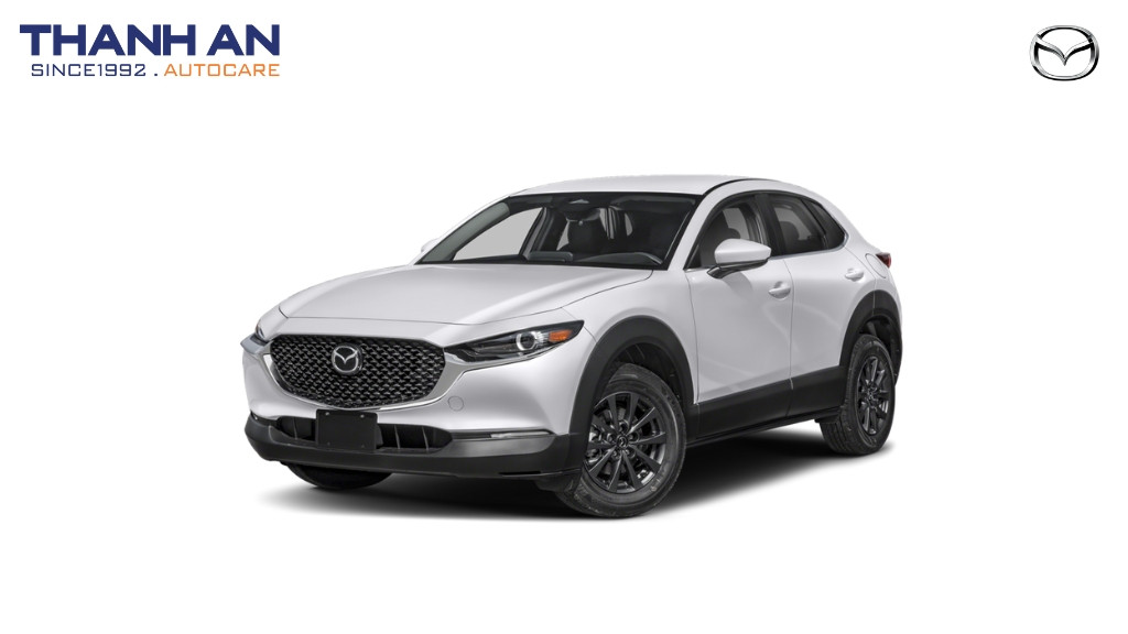 thay-lop-xe-Mazda-CX30-chinh-hang-gia-tot-tai-thanh-an-autocare-quan-7