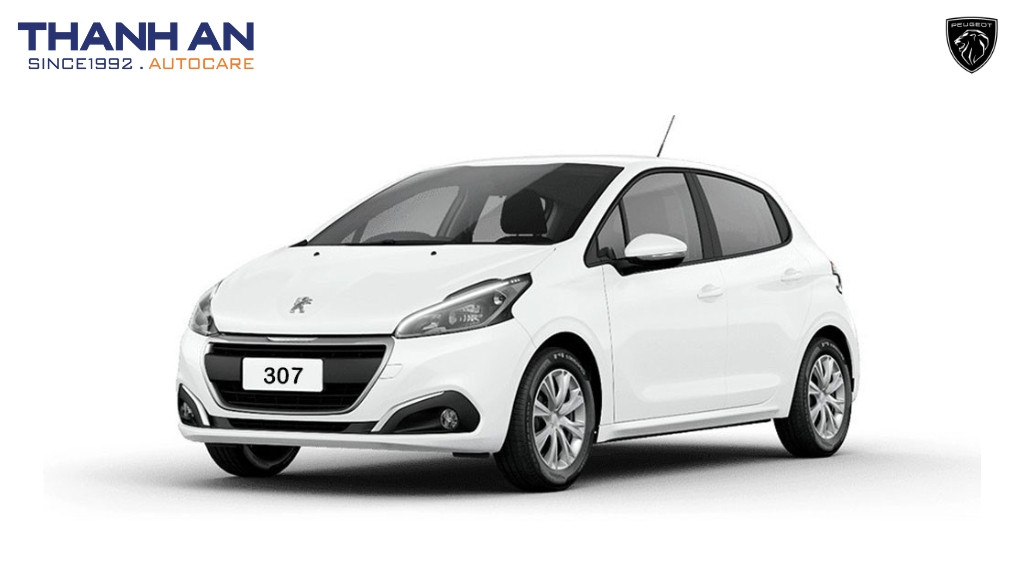 thay-lop-xe-peugeot-307-chinh-hang-gia-tot-tai-thanh-an-autocare-quan-7