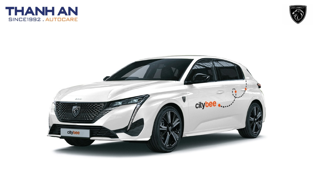 thay-lop-xe-Peugeot-308-chinh-hang-gia-tot-tai-thanh-an-autocare-quan-7
